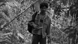 Genus Pan