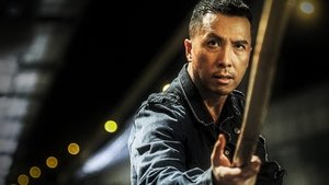Asesino Kung Fu