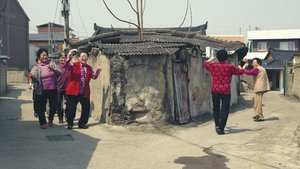 칠곡 가시나들