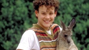 Joey, un canguro en la ciudad