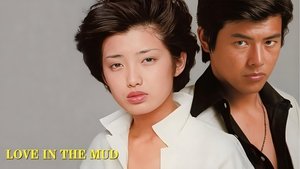 泥だらけの純情