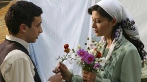 Borrowed Bride