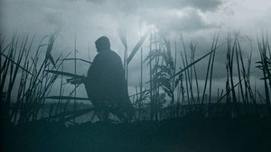 The Reeds