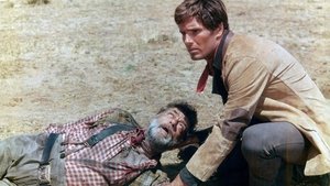 El hombre del Sur