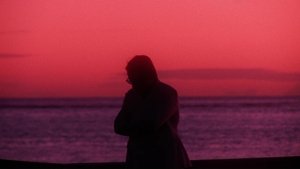 Filmoteca de Catalunya 10 anys al Raval
