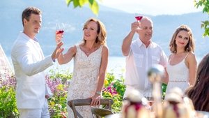 Verano en el viñedo