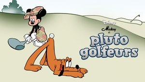 Canine Caddy