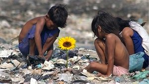 La Isla de las flores