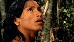 El canto de la selva