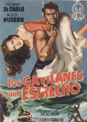 Los gavilanes del estrecho