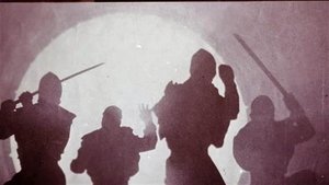 The Ninja Mission