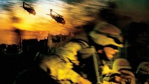 Black Hawk derribado