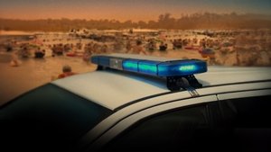Ozark Law