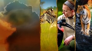 La Magia de Animal Kingdom de Disney