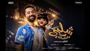 شلبي