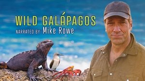 Wild Galápagos