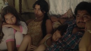 El despertar de las hormigas