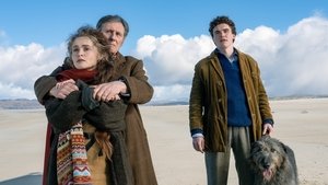 Amor en cuatro letras