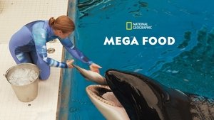Mega Food