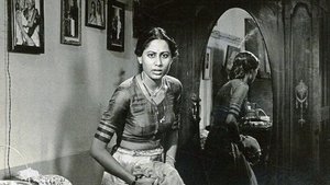 The Role