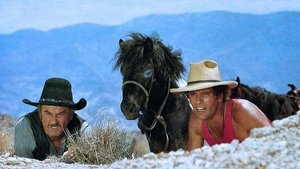 El blanco, el amarillo y el negro