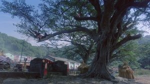 我愛扭紋柴