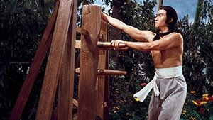 Invincible Shaolin