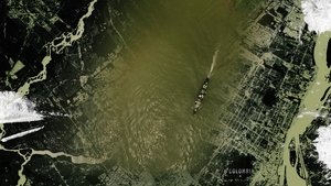 Finding Escobar's Millions