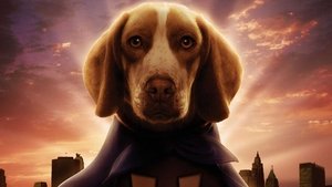 Superdog
