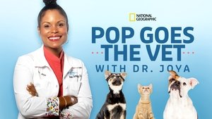 Dermatología veterinaria