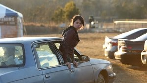 The Fundamentals of Caring