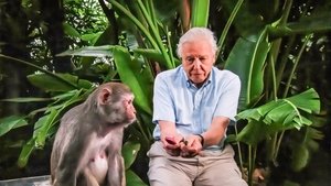 El ascenso de los animales de David Attenborough: El triunfo de los vertebrados