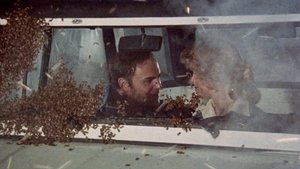 Abejas Asesinas