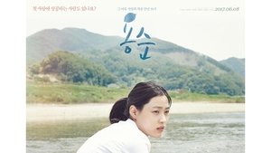 용순