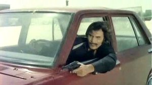 ذئاب لا تاكل اللحم‎