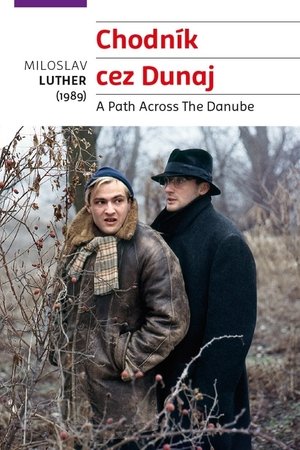 Un sendero a través del Danubio