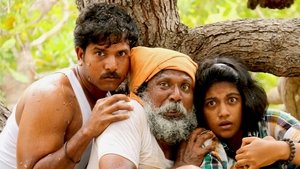 முந்திரிக்காடு