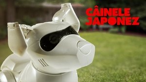 Câinele japonez