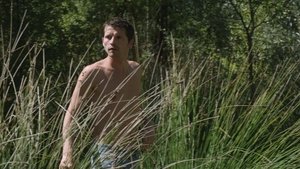 El desconocido del lago