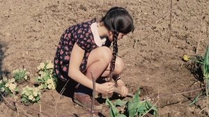 Le Printemps