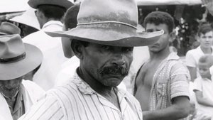 Maioria absoluta
