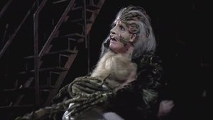 Into the Woods