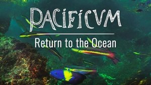 Pacificum: El retorno al océano
