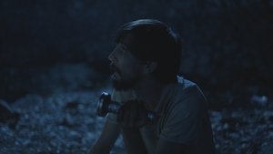 Ali's Nature