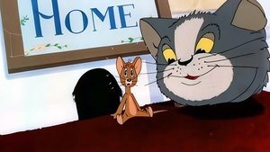 El gato se gana el zapatazo