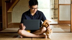 ねこあつめの家