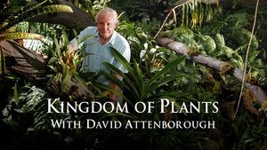 Kingdom of Plants
