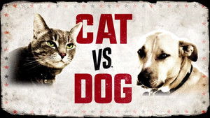 Cat vs. Dog