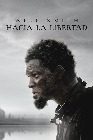 Hacia la libertad