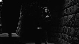 La mujer pantera
